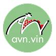 AVN